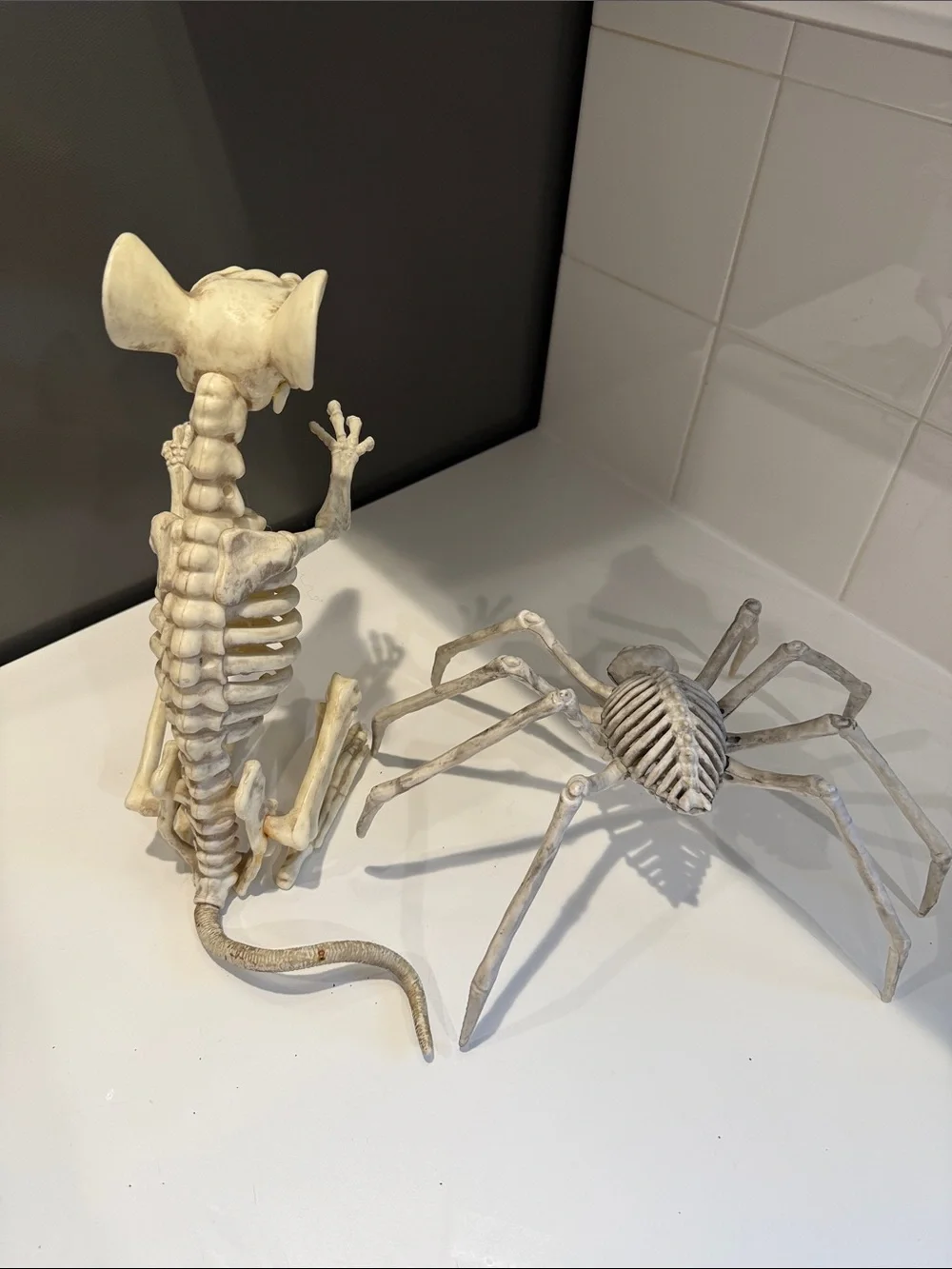 White Skeleton Reptile & Spider Habitat Décor Set